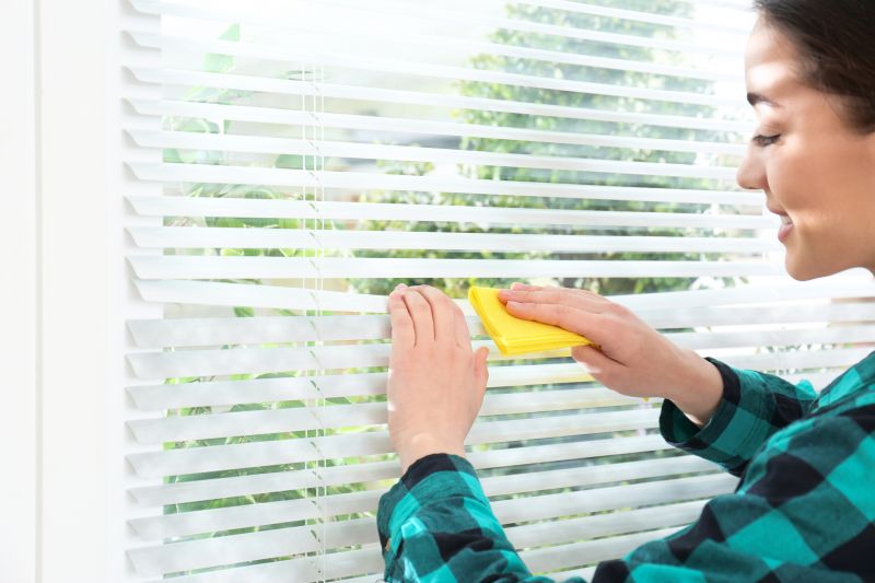 Cellular Blinds Cleaning in Billings, MT