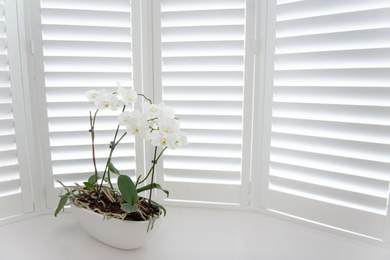 Interior Shutters Installation in Longmont, CO